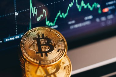 Cryptocurrency bull market. Bitcoin chart. High quality photo