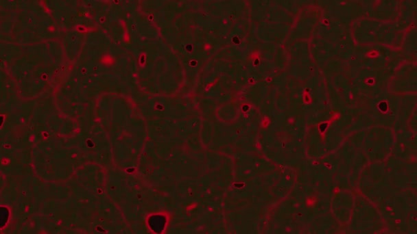 Abstração Dinâmica Líquido Vermelho Que Manchas Pretas São Formadas Imagens — Vídeo de Stock