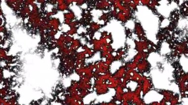 Renkli soyut doku. Yüksek kalite 4k görüntü