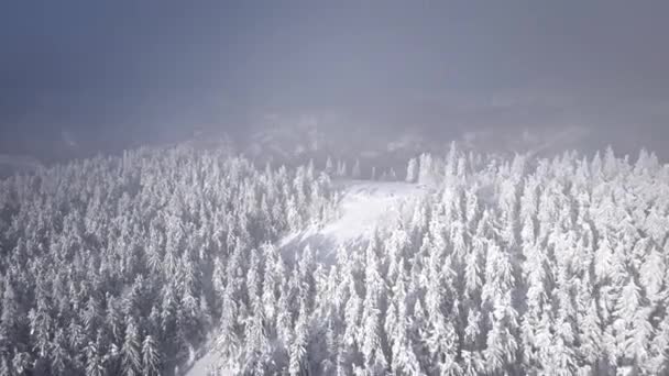 Letecký pohled na západ slunce nad zasněženým lesem v horách — Stock video