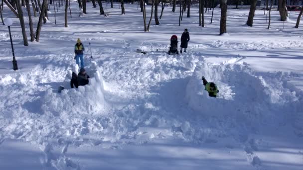 Draufsicht Vater mit Sohn baut Schnee-Festung — Stockvideo