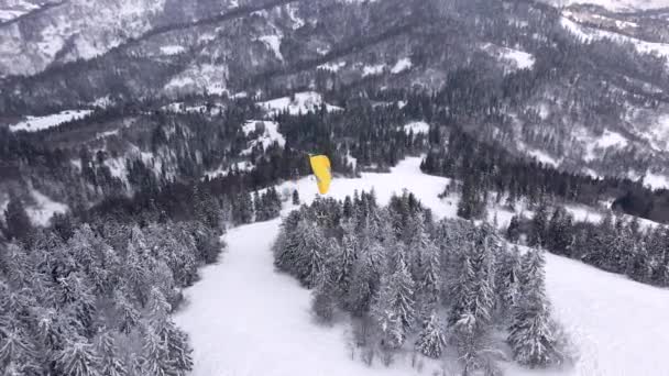 Σκιέρ αλεξίπτωτο πλαγιάς πάνω από χιονοδρομικό κέντρο — Αρχείο Βίντεο