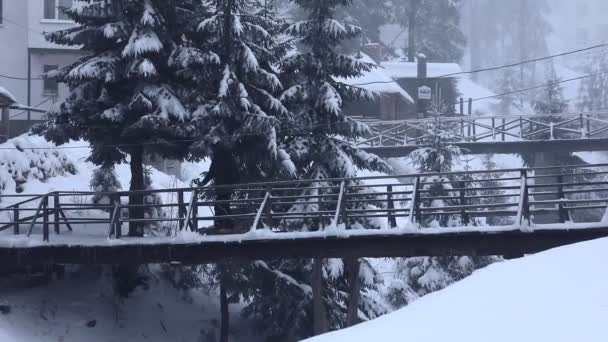 スキー村の橋を渡り — ストック動画