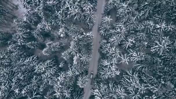 Overhead top view of car moving by snowed road between pine trees in mountains. — Stock Video