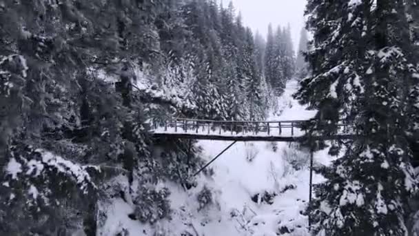 Moving forward above the bridge in snowed mountains — Stock Video