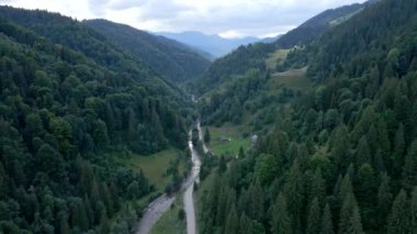 Ormandaki Karpat Nehri 'nin havadan görünüşü