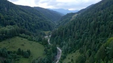 Ormandaki Karpat Nehri 'nin havadan görünüşü