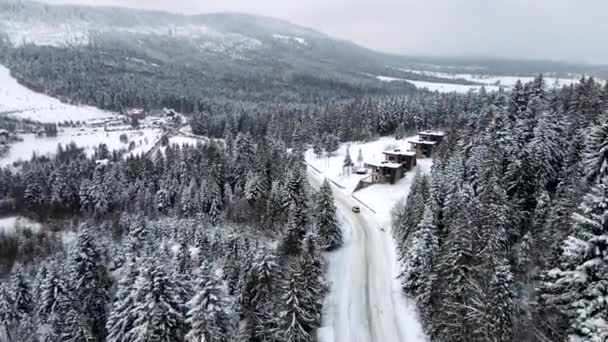 Вид с воздуха на передвижение автомобиля по заснеженной дороге в горах с сосновым лесом — стоковое видео