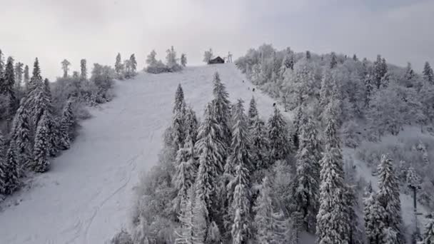 Vista aérea da pista de esqui — Vídeo de Stock
