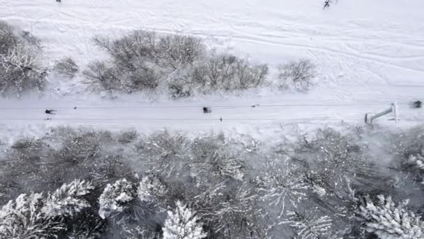 Vue aérienne de la piste de ski — Video