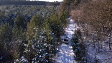 SUV arabası karlı orman hava manzarasından geçiyor.