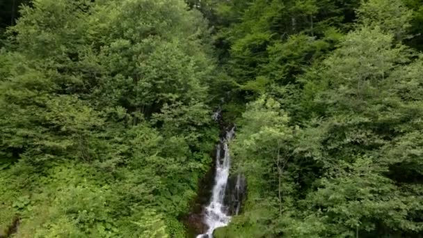 Cascada en montañas Cárpatas — Vídeos de Stock