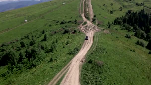 Вид з повітря на карпатський гірський хребет на літній день — стокове відео