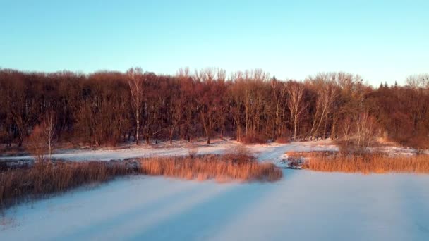 Aerial view of sunset at frozen lake beach — Stock Video