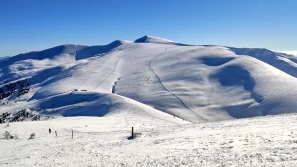 화창 한 날 눈덮인 산 꼭대기에서 스키를 탑니다 — 비디오