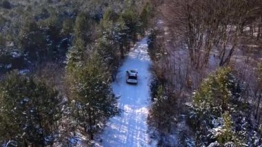 SUV arabası karlı orman hava manzarasından geçiyor.