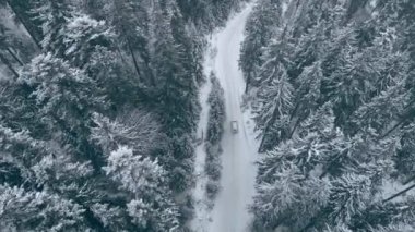 Dağlardaki çam ağaçları arasında, karlı yoldan giden araba manzarası..