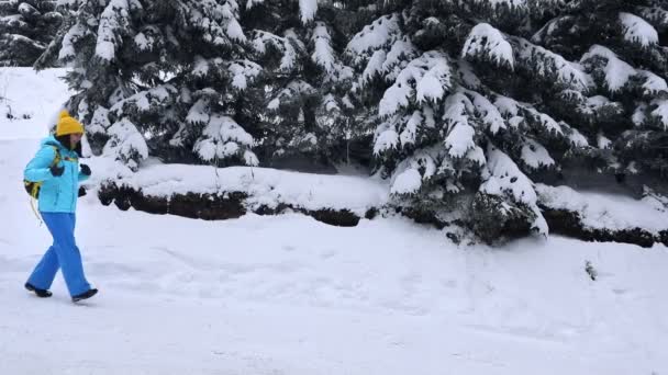 Γυναίκα περπατά από χιονισμένο μονοπάτι του δάσους — Αρχείο Βίντεο