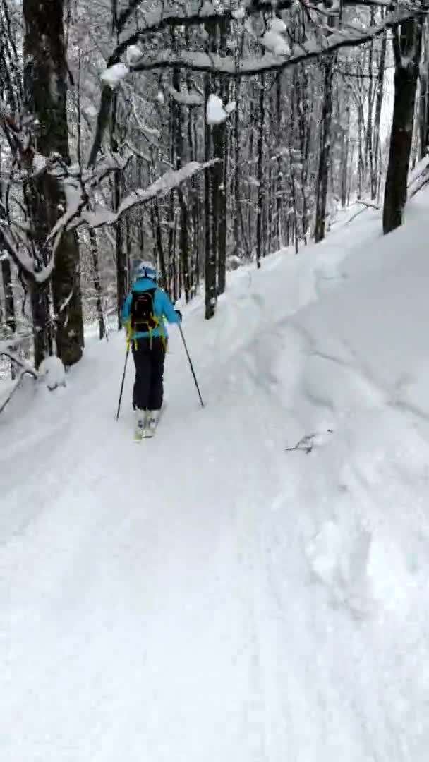 Mensen skiën door boshelling — Stockvideo