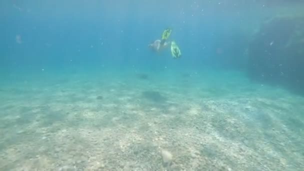 Женщина под водой в купальнике с аквалангом — стоковое видео