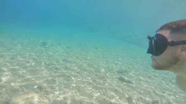 Pareja besándose bajo el agua en las máscaras de buceo — Vídeo de stock