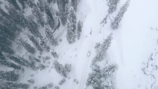 Vista superior del coche moviéndose por carretera nevada entre pinos en las montañas — Vídeos de Stock