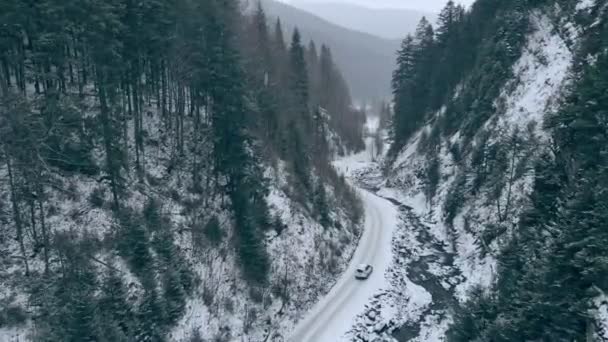 SUV autó halad előre a havas hegyi kanyon — Stock videók