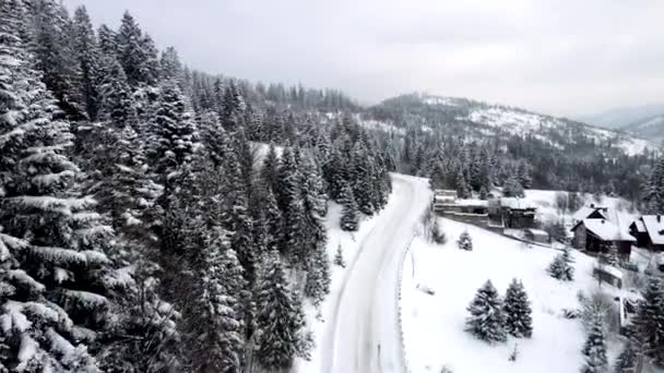 Vista aérea de montañas nevadas con bosques de pinos — Vídeo de stock