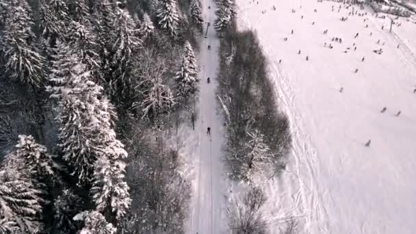 滑雪坡鸟图 — 图库视频影像