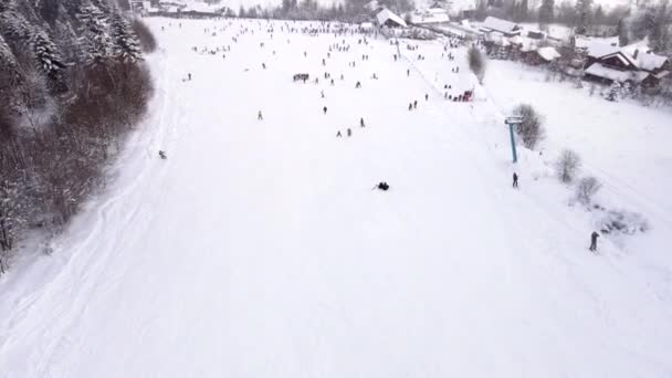 滑雪坡鸟图 — 图库视频影像