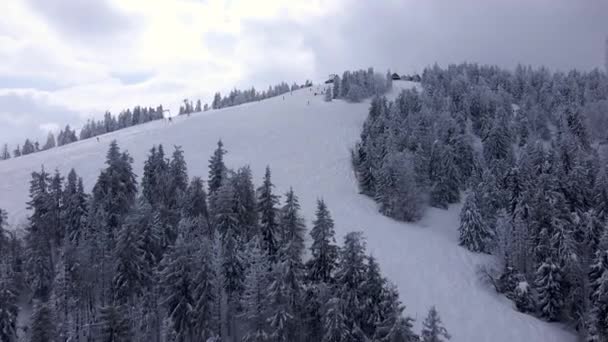 Vista aérea da pista de esqui na floresta de pinheiros — Vídeo de Stock