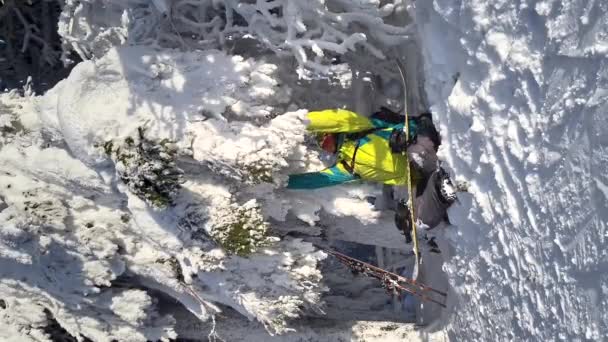 Homem agitar árvore de pinho ramo snowfall se divertindo — Vídeo de Stock