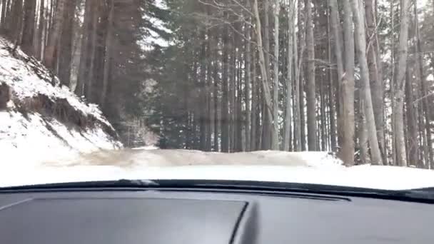 Vezetés autó havas hegyi úton — Stock videók