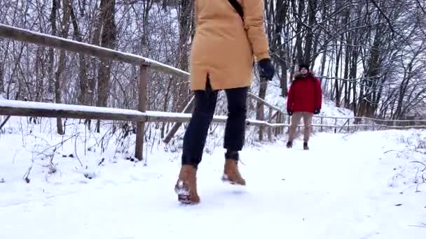 Koppel ontmoeten elkaar in de winter besneeuwde stadspark — Stockvideo