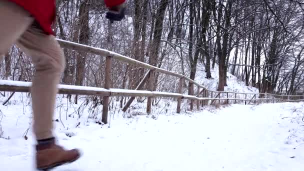 Paar spielt Schneebälle im verschneiten Park — Stockvideo