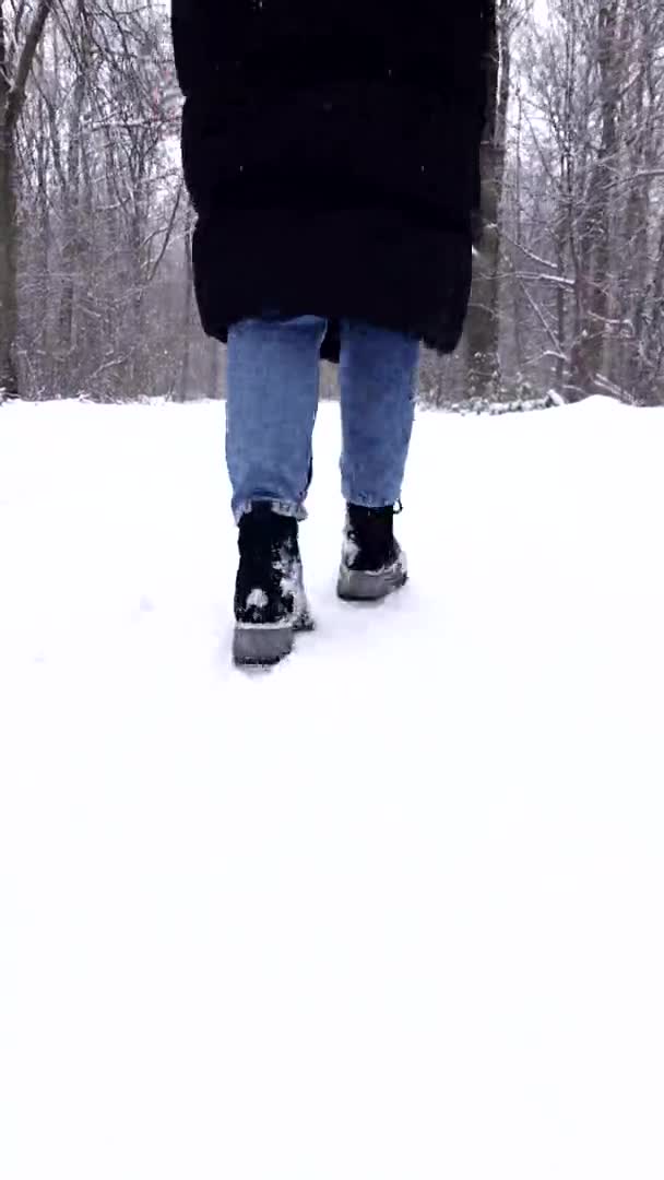 Vrouw benen close-up in de winter laarzen wandelen door besneeuwde voetpad — Stockvideo