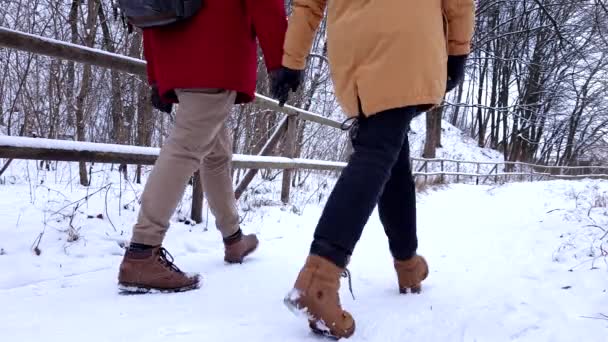 Koppel ontmoeten elkaar in de winter besneeuwde stadspark — Stockvideo