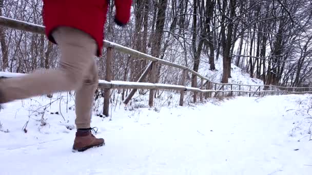 Paar spelen sneeuwballen in de winter besneeuwd park — Stockvideo