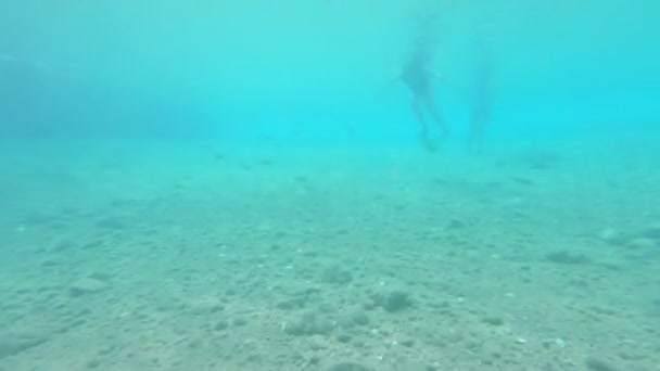 Žena v potápěčské masce potápění pod vodou — Stock video