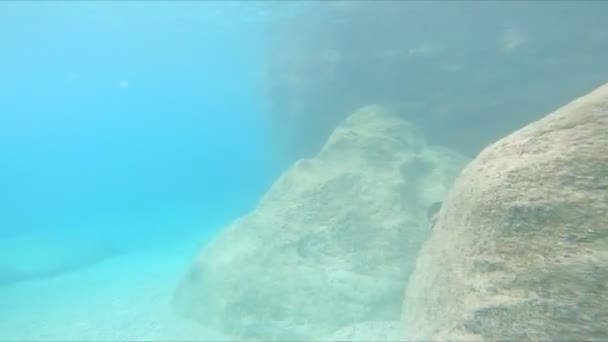 Muž potápění pod vodou s řeckou vlajkou — Stock video