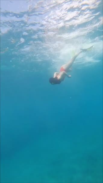 Mulher mergulho subaquático clara azul água do mar — Vídeo de Stock