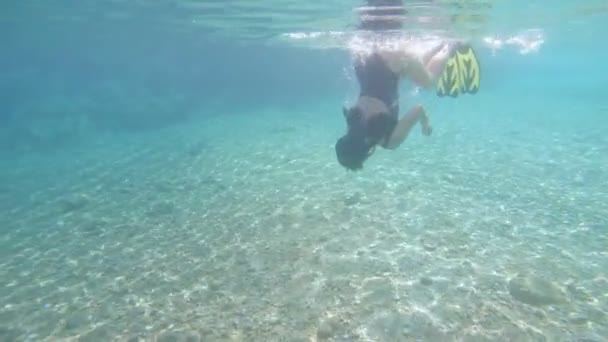 Žena pod vodou v plavkách potápění — Stock video