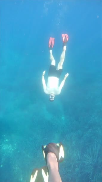 Pár potápění v čisté vodě — Stock video
