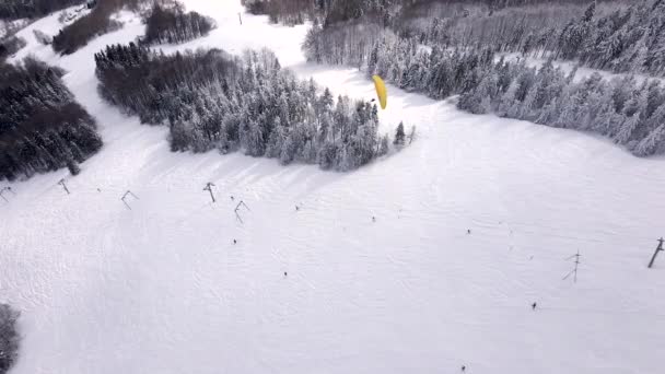 Esquiador parapente por encima de la estación de esquí — Vídeo de stock