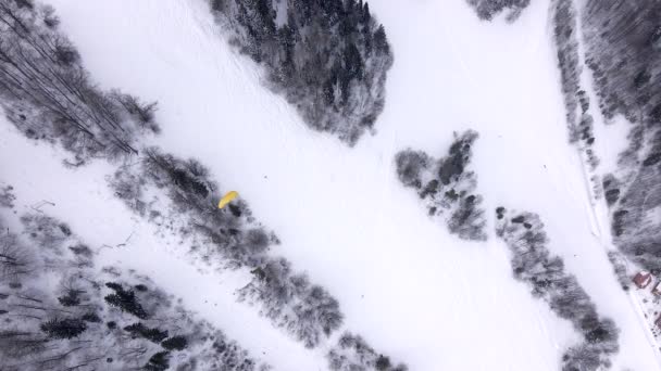 Parapendio sciatore sopra la stazione sciistica — Video Stock