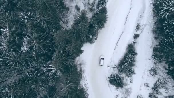 Sopraelevata auto vista dall'alto in movimento da strada percorso innevato da montagne foresta — Video Stock