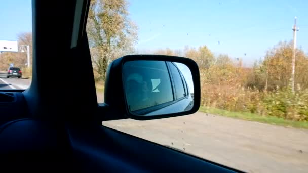 Vista lateral desde el coche que se mueve por carretera — Vídeos de Stock