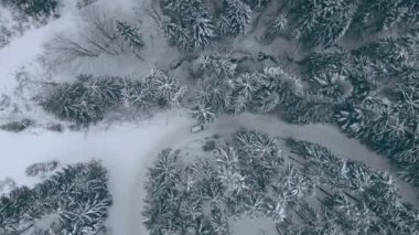 Dağlardaki çam ağaçları arasında, karlı yoldan giden araba manzarası..