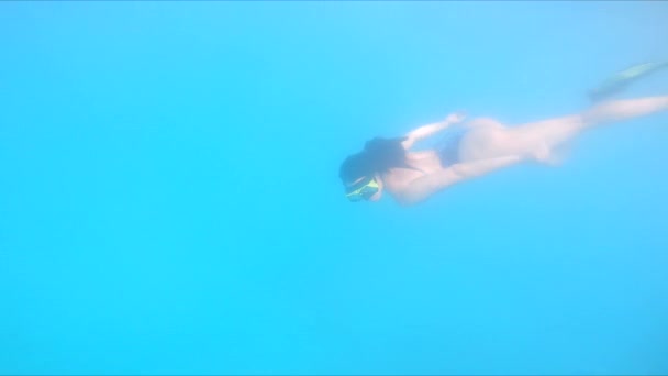 Femme en palmes plongée sous-marine — Video
