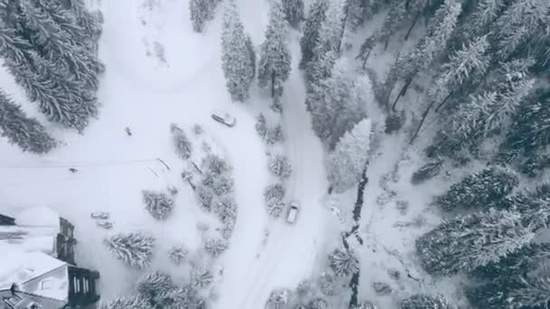 Coche moviéndose por senda nevada carretera vista superior — Vídeos de Stock